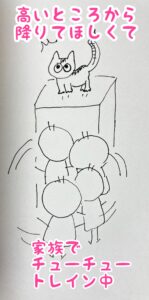 保護猫を迎える前の部屋づくり