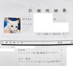 保護猫の初めての受診