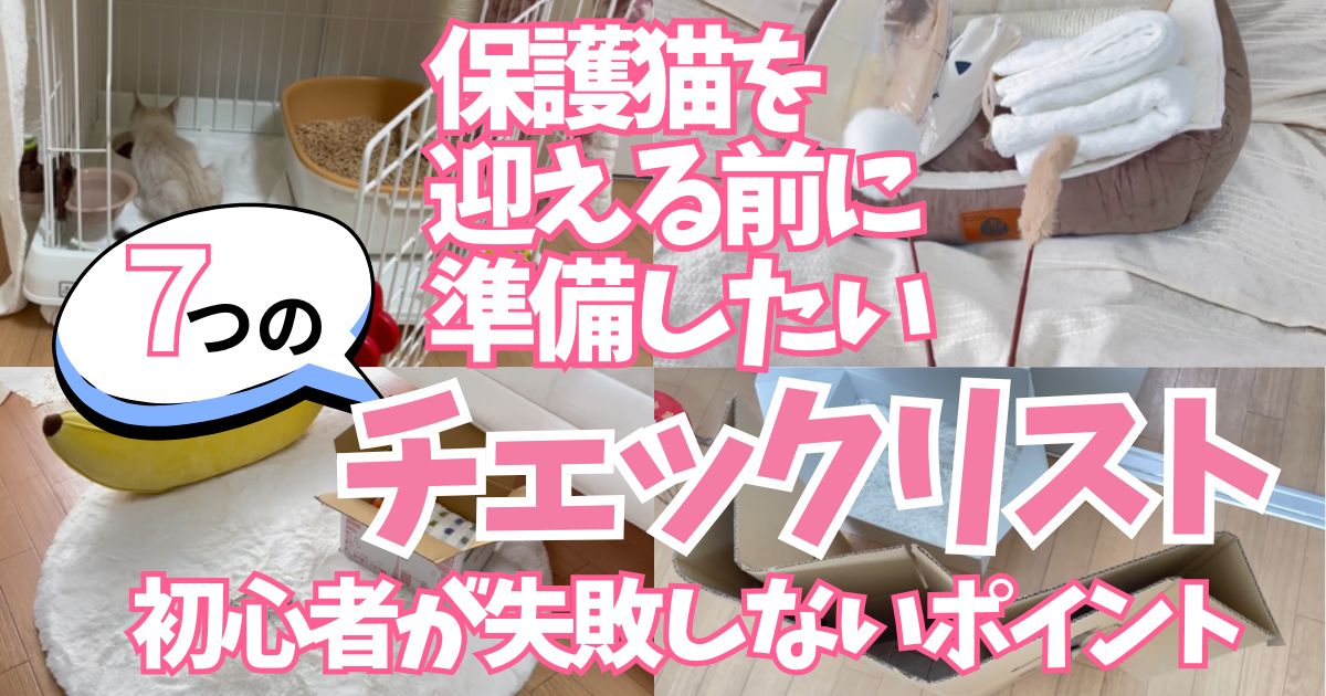 保護猫を迎える前に準備したい７つのチェックリスト。初心者が失敗しないポイント