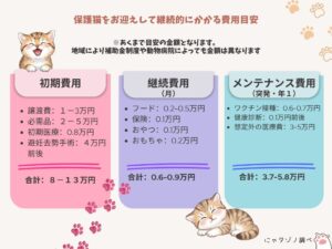 保護猫譲渡と暮らしにかかる費用