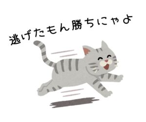 保護猫初心者用ケア用品2