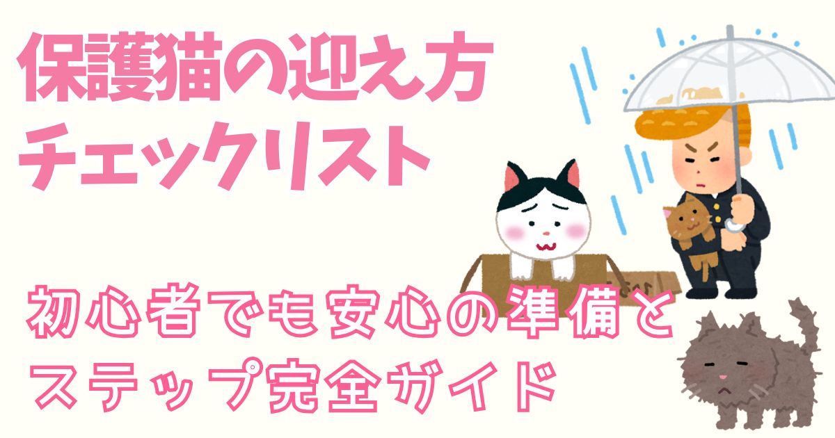 保護猫の迎え方チェックリスト┃初心者でも安心の準備とステップ完全ガイド