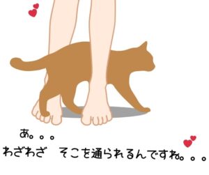 愛情の証：足の間をすりすりしながら通り抜ける