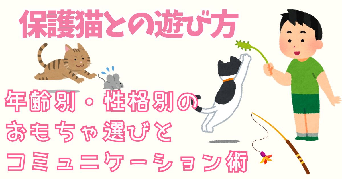 保護猫との遊び方│年齢別・性格別のおもちゃ遊びとコミュニケーション術