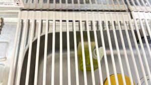 水切り用のシンクフタ