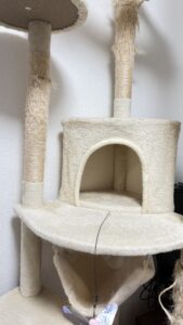 キャットタワーの隠れ家