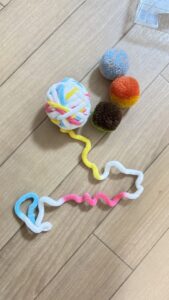 保護猫初心者の遊び