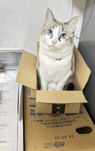 キッチンの危険を避ける