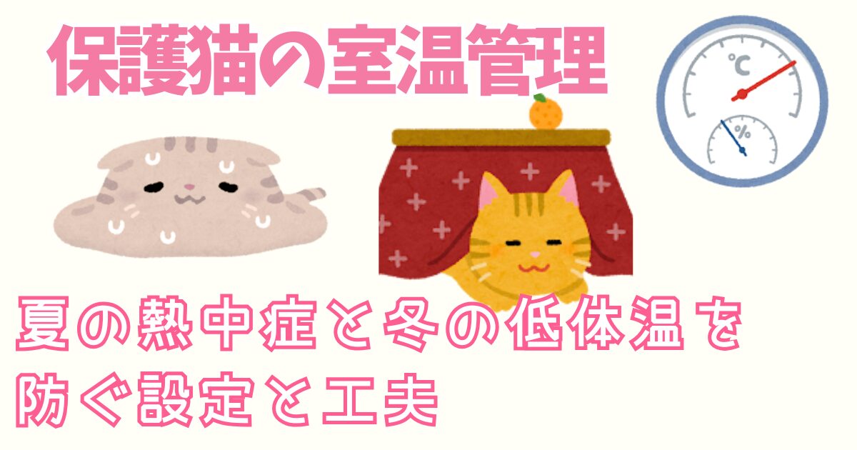 保護猫の室温管理 夏の熱中症と冬の低体温症を防ぐ設定と工夫
