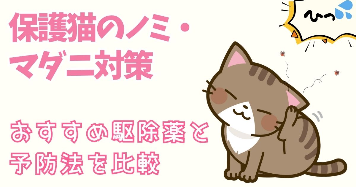 保護猫初心者のためのノミ・マダニ対策 おすすめ駆除薬と予防法を比較