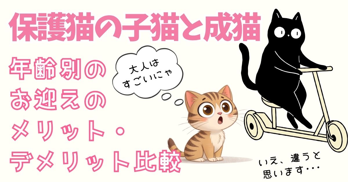 保護猫初心者のための子猫と成猫 年齢別のお迎えのメリット・デメリット比較