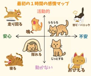 車移動から最初の１時間の猫の感情マップ