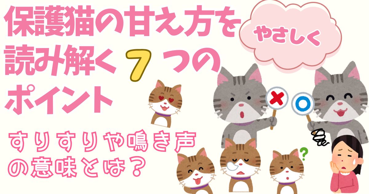保護猫の甘え方をやさしく読み解く7つのポイント｜すりすりや鳴き声の意味とは？