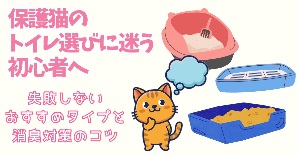 保護猫初心者のためのトイレ事情、ニオイ消し