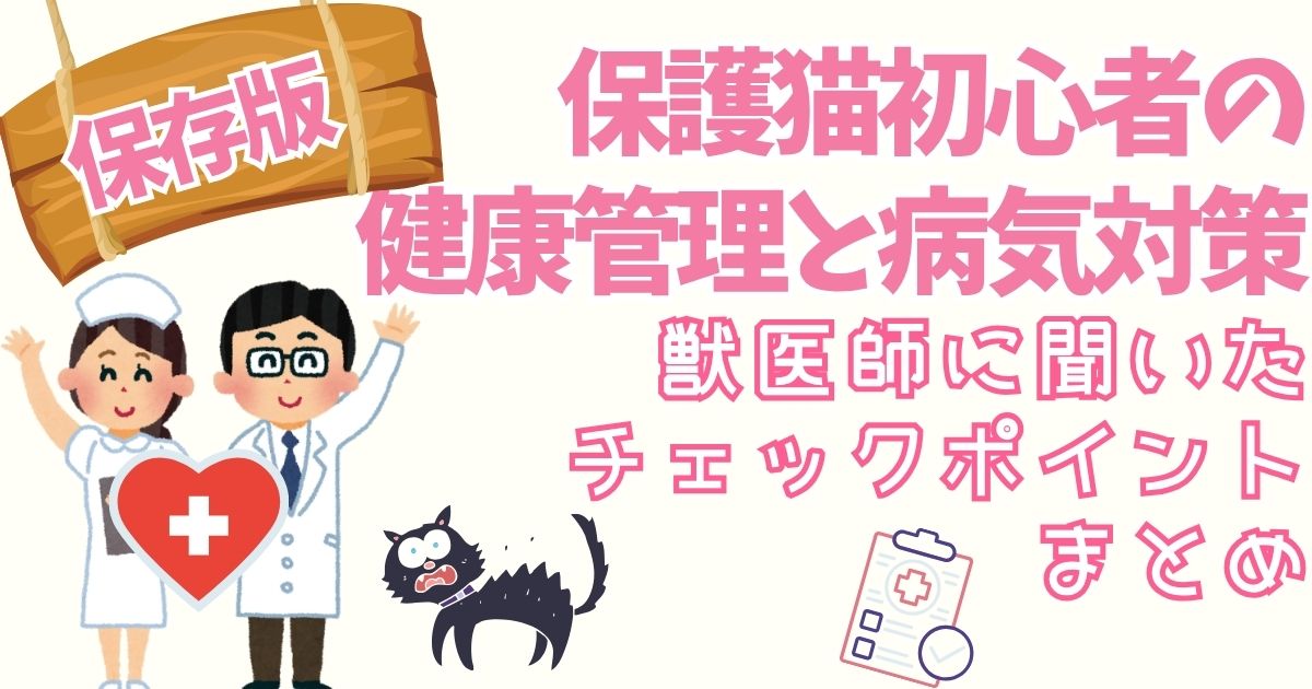 【保存版】保護猫初心者の健康管理と病気対策｜獣医師に聞いたチェックポイントまとめ
