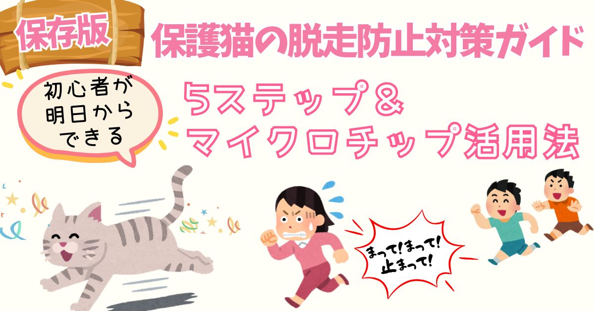 【保存版】保護猫の脱走防止対策と費用徹底比較｜初心者が明日からできる5ステップ＆マイクロチップ活用法