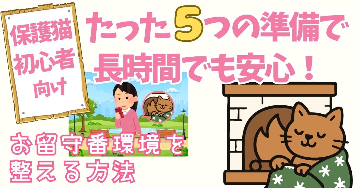 保護猫初心者向け｜たった5つの準備で“長時間でも安心”のお留守番環境を整える方法