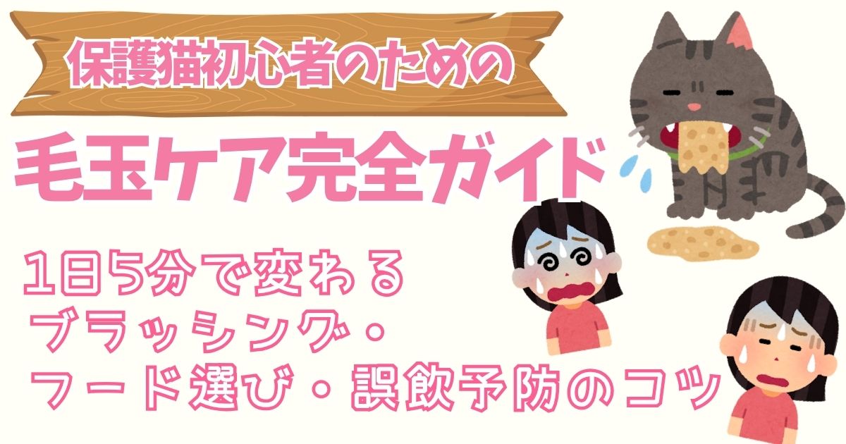 保護猫初心者のための毛玉ケア完全ガイド1日5分で変わるブラッシング・フード選び・誤飲予防のコツ