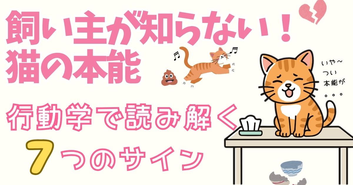 飼い主が知らない“猫の本能”を正しく理解する方法｜行動学で読み解く7つのサイン