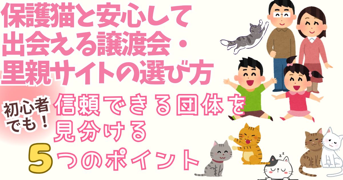 疑り深い私も出会った瞬間、神が降臨したときのようにメロメロになる初対面の時