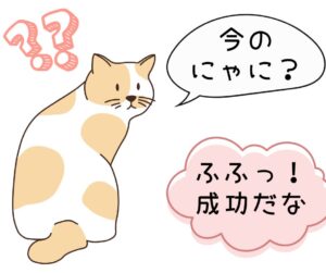 保護猫初心者用ケア用品