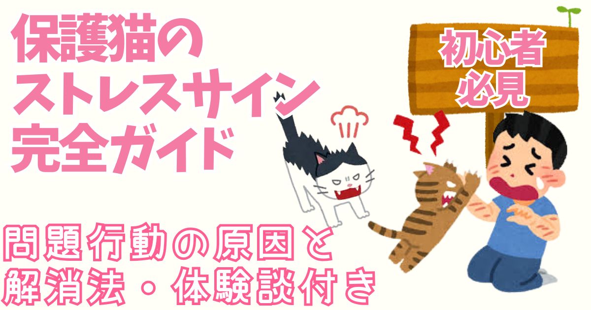 【初心者必見】保護猫のストレスサイン完全ガイド｜問題行動の原因と解消法・体験談つき