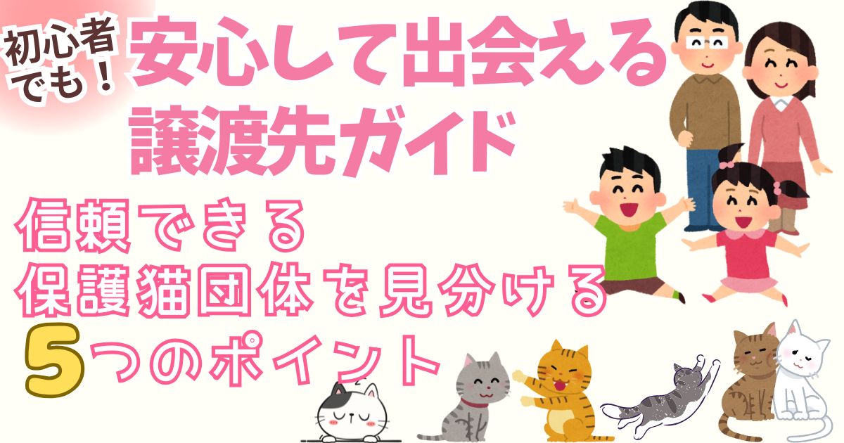 初心者でも安心して出会える譲渡先ガイド｜信頼できる保護猫団体を見分ける5つのポイント