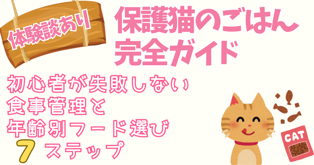 【体験談あり】保護猫のごはん完全ガイド｜初心者が失敗しない食事管理と年齢別フード選び７ステップ