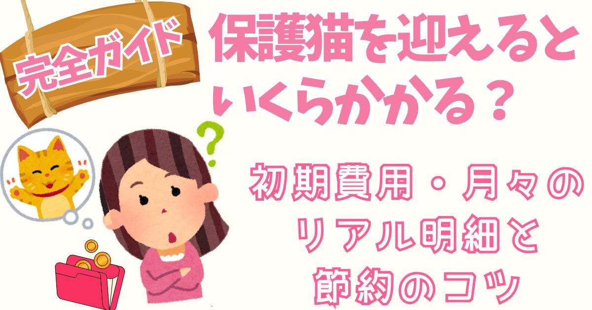 【完全ガイド】保護猫を迎えるといくらかかる？初期費用・月々のリアル明細と節約のコツ