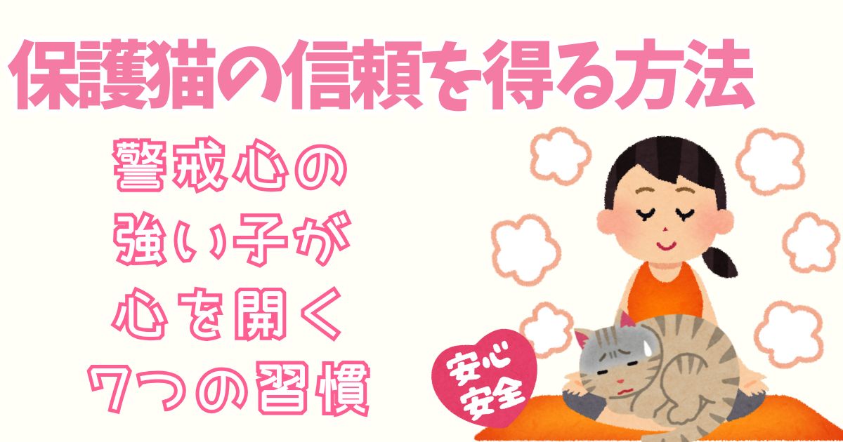 保護猫の信頼を得る方法｜警戒心の強い子が心を開く7つの習慣