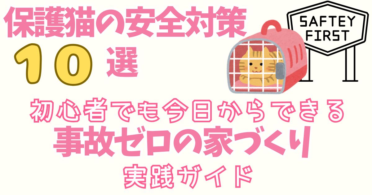 保護猫の安全対策10選｜初心者でも今日からできる「事故ゼロの家づくり」実践ガイド