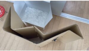 保護猫の初期投資