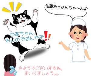 保護猫の名前の覚えさせ方