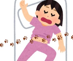 はらを出して寝ていても通り道にされている
