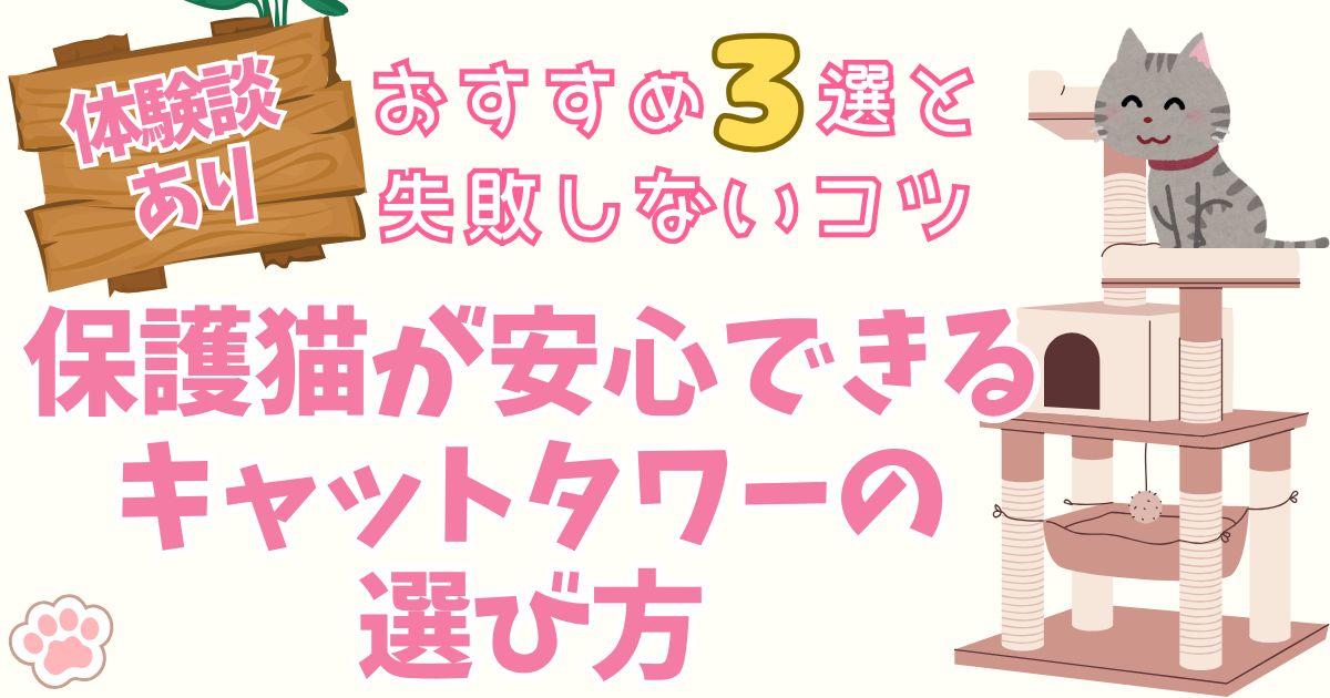 【体験談あり】保護猫が安心できるキャットタワーの選び方｜おすすめ３選と失敗しないコツ