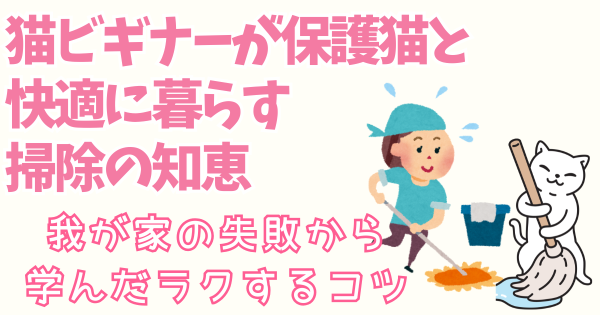 猫ビギナーが保護猫と快適に暮らす 掃除の知恵 — 我が家の失敗から学んだラクするコツ
