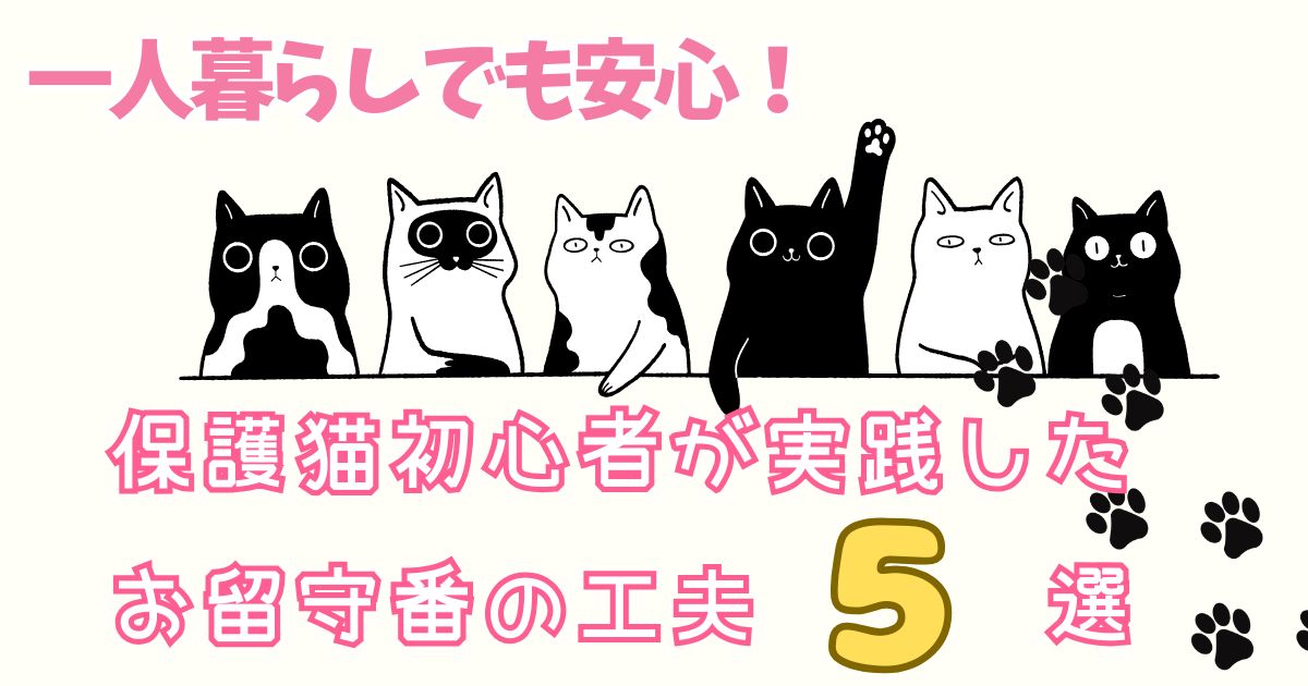 一人暮らしでも安心！保護猫初心者が実践したお留守番の工夫5選