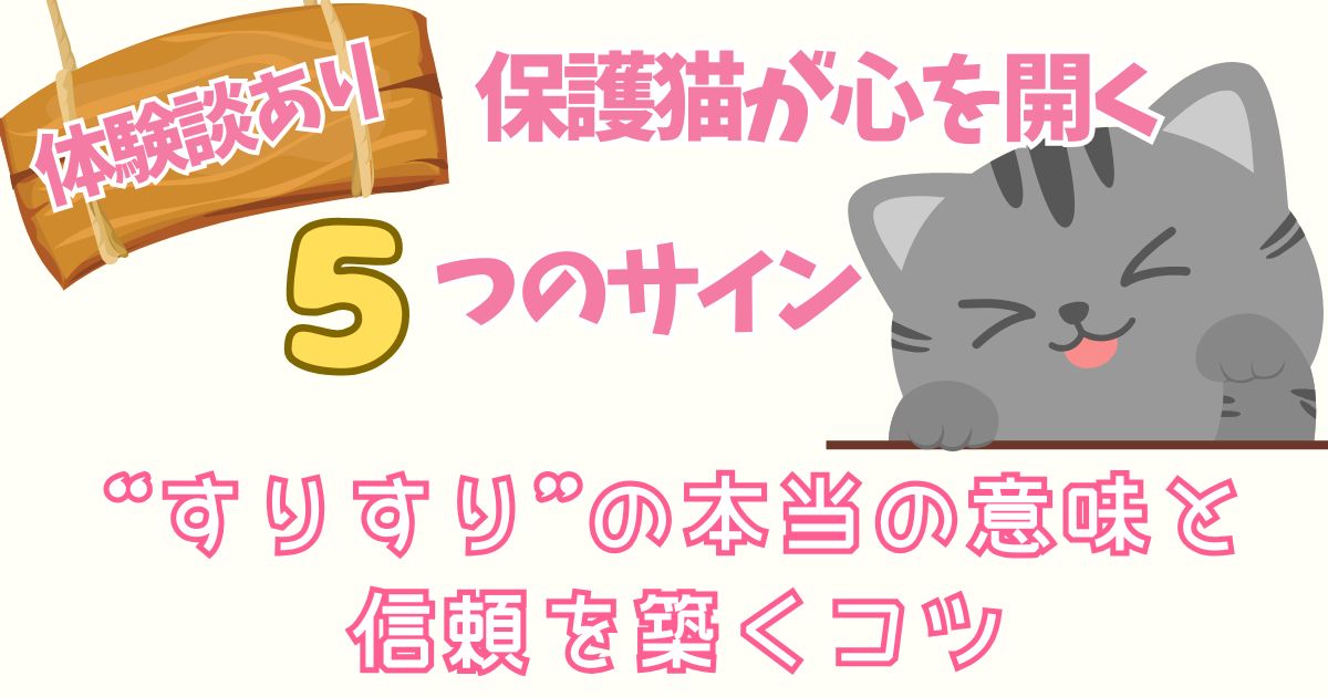 【体験談あり】保護猫が心を開く５つのサイン｜“すりすり”の本当の意味と信頼を築くコツ