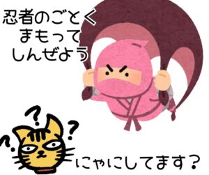 保護猫の信頼を得る方法｜警戒心の強い子が心を開く7つの習慣 