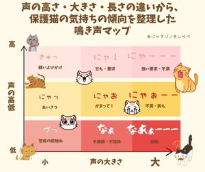 保護猫の鳴き声を高さ・大きさ・長さで整理した猫の気持ちマップ