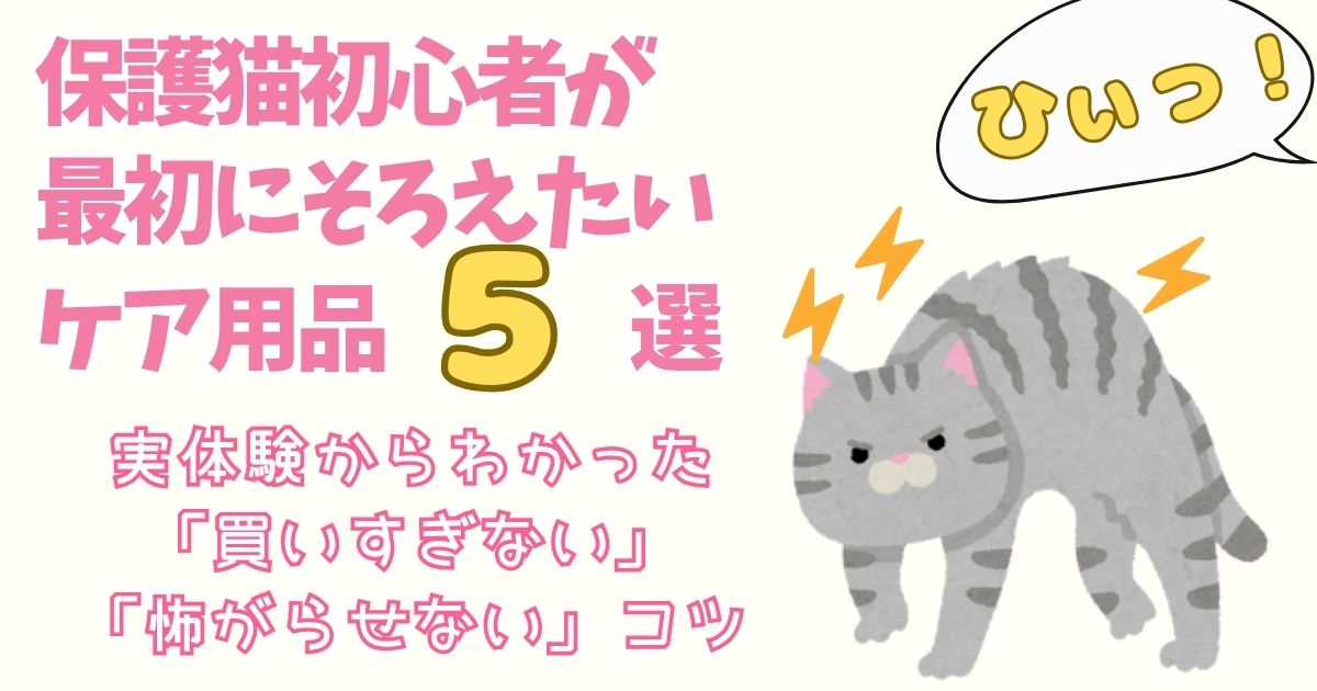 保護猫初心者が最初にそろえたいケア用品５選｜実体験からわかった「買いすぎない」「怖がらせない」コツ