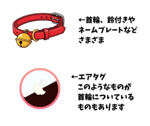 【保存版】保護猫の脱走防止対策と費用徹底比較｜初心者が明日からできる5ステップ＆マイクロチップ活用法