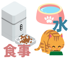 保護猫初心者が学んだ知恵と工夫 ― 一人暮らしでも猫が安心するお留守番のコツ