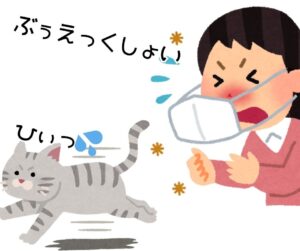 保護猫の信頼を得る方法｜警戒心の強い子が心を開く7つの習慣