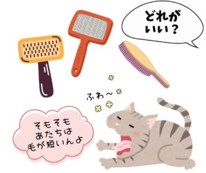 保護猫初心者用ケア用品